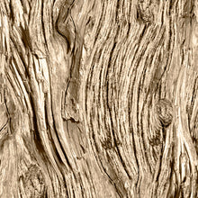 Load image into Gallery viewer, Open air driftwood from Quilting Treasures Fabrics rafia colorway