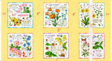 Load image into Gallery viewer, Set of botanical prints with measurements on a yellow background