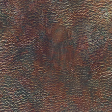 Load image into Gallery viewer, Earth Views organic cotton by astronaut Karen Nyberg redwood