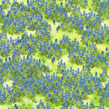 Load image into Gallery viewer, Texas in bloom by Mary Lake Thompson from Robert Kaufman