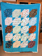 Load image into Gallery viewer, Cozy minkee and flannel quilt