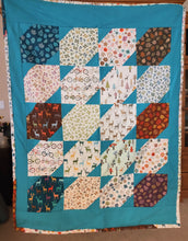 Load image into Gallery viewer, Cozy minkee and flannel quilt