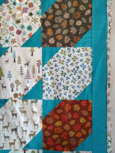 Load image into Gallery viewer, Cozy minkee and flannel quilt
