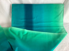 Load image into Gallery viewer, Essential Gradations by Carol Bryer Fallert from Benartex Persian Turquoise