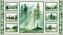 Load image into Gallery viewer, Misty Vista from P and B panel