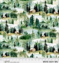 Load image into Gallery viewer, Misty Vista from P and B scenic