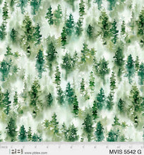 Load image into Gallery viewer, Misty Vista from P and B