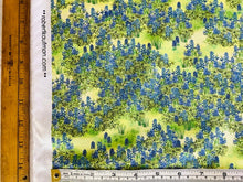 Load image into Gallery viewer, Texas in bloom by Mary Lake Thompson from Robert Kaufman