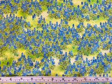 Load image into Gallery viewer, Texas in bloom by Mary Lake Thompson from Robert Kaufman