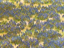 Load image into Gallery viewer, Texas in bloom by Mary Lake Thompson from Robert Kaufman