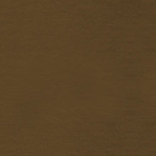 Load image into Gallery viewer, Flannel solid heavyweight Paintbrush Studios brown