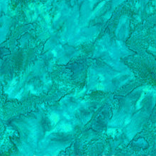 Load image into Gallery viewer, 1895-322 Bettafish