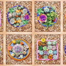 Load image into Gallery viewer, The potted Garden