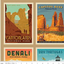 Load image into Gallery viewer, National Parks Wilderness Wonders Panel