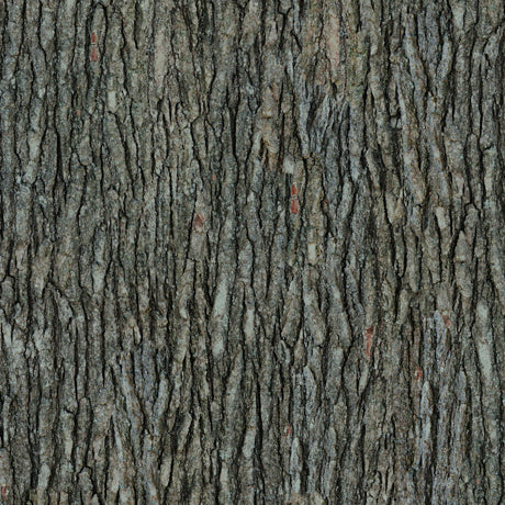 Open air bark from Quilting Treasures Fabrics pepper colorway
