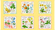 Load image into Gallery viewer, Set of six botanical posters with flowers and plants on a yellow background
