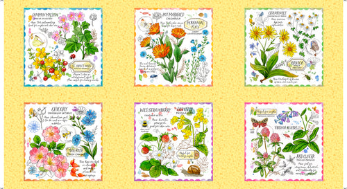Set of six botanical posters with flowers and plants on a yellow background