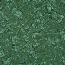 Load image into Gallery viewer, Expressions Batiks from Riley Blake hand-dyes Evergreen
