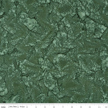 Load image into Gallery viewer, Expressions Batiks from Riley Blake hand-dyes Evergreen
