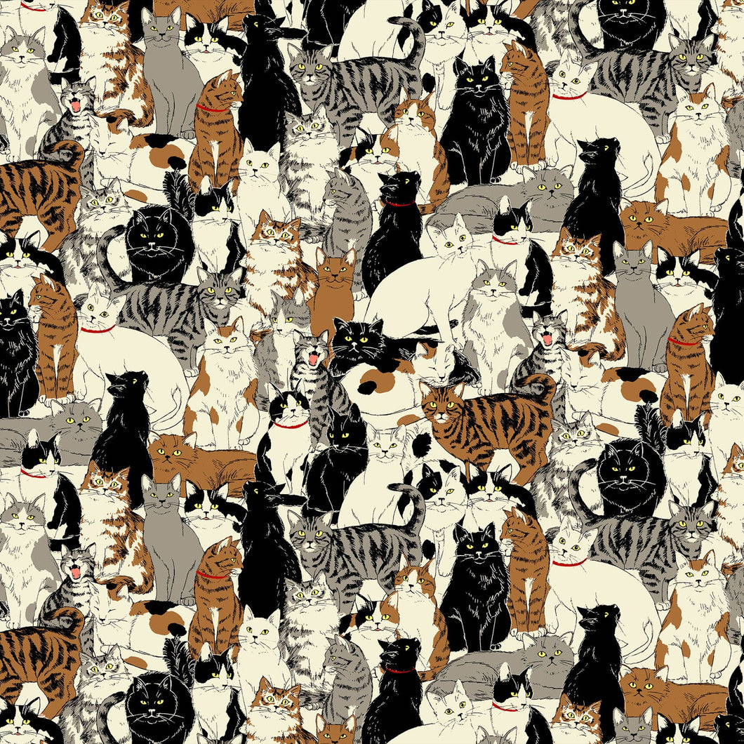 Cats And Owls Printed Oxford 2