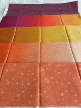 Load image into Gallery viewer, Horizon ombres by Christina Cameli for Maywood Studio fat quarters 5 piece bundle
