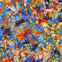 Load image into Gallery viewer, Flower Fairies of the Autumn by Cicely Mary Barker
