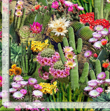Load image into Gallery viewer, Cactus Flowers Bloom from Timeless Treasures
