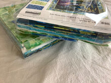 Load image into Gallery viewer, Turtle Odyssey Quilt Kitfrom Quilting Treasures and Pine Tree Country Quilts
