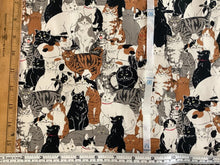 Load image into Gallery viewer, Cats And Owls Printed Oxford 2
