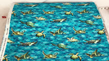 Load and play video in Gallery viewer, Sea turtles from Coral Canyon by Carolyn Steele from Robert Kaufman
