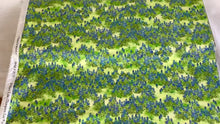 Load and play video in Gallery viewer, Texas in bloom by Mary Lake Thompson from Robert Kaufman
