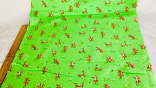 Load and play video in Gallery viewer, 100 Aker Woods Tigger Bounce Green

