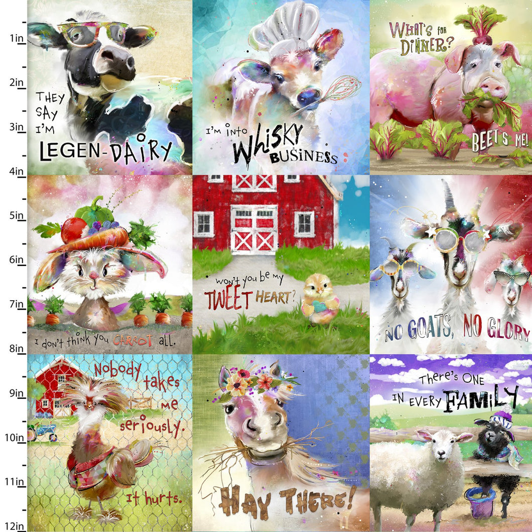 Welcome to the Funny Farm by Connie Haley