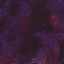 Load image into Gallery viewer, Black Amethyst Fossil Fern

