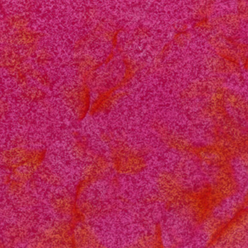 Mottled fuchsia