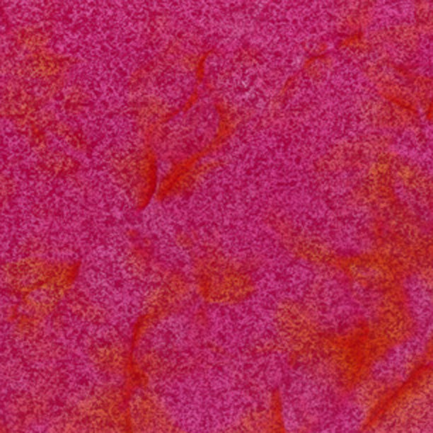 Mottled fuchsia