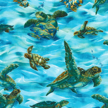 Load image into Gallery viewer, Sea turtles from North American Wildlife
