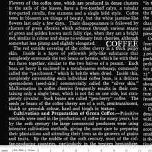 Load image into Gallery viewer, Coffee Chalk text black by J. Wecker Frisch from Riley Blake fabrics
