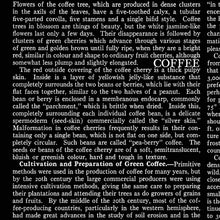 Load image into Gallery viewer, Coffee Chalk text black by J. Wecker Frisch from Riley Blake fabrics
