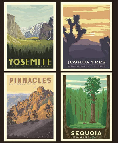 National Parks Pillow panel California Parks