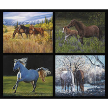 Load image into Gallery viewer, High Horse Panel from Riley Blake Designs
