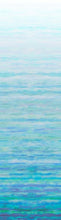 Load image into Gallery viewer, Fly home ombre
