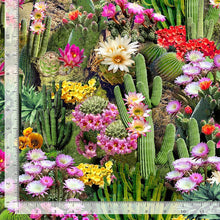 Load image into Gallery viewer, Cactus Flowers Bloom from Timeless Treasures
