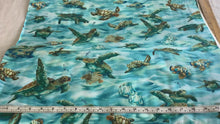Load and play video in Gallery viewer, Sea turtles from North American Wildlife
