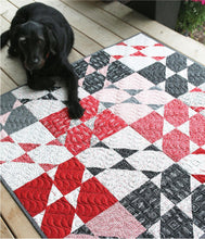 Load image into Gallery viewer, Cut Loose Press Sara Quilt pattern

