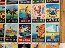 Load image into Gallery viewer, Destinations State Pride Poster Panel
