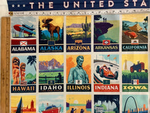 Load image into Gallery viewer, Destinations State Pride Poster Panel
