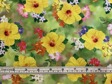 Load image into Gallery viewer, Hummingbird Garden yellow hibiscus
