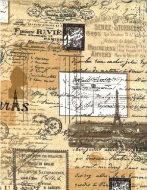 Paris theme home dec canvas